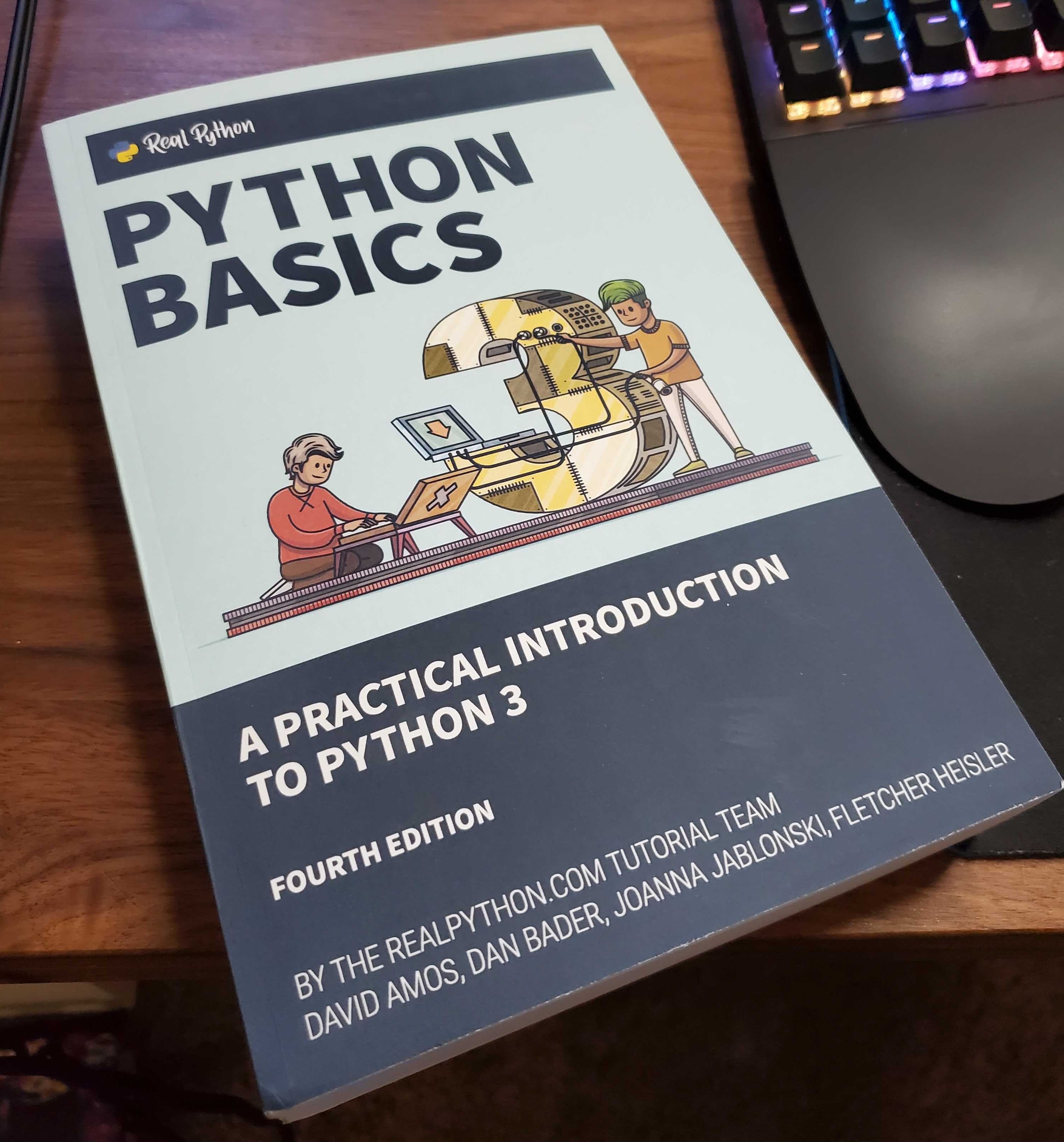 Python Basics Paperback