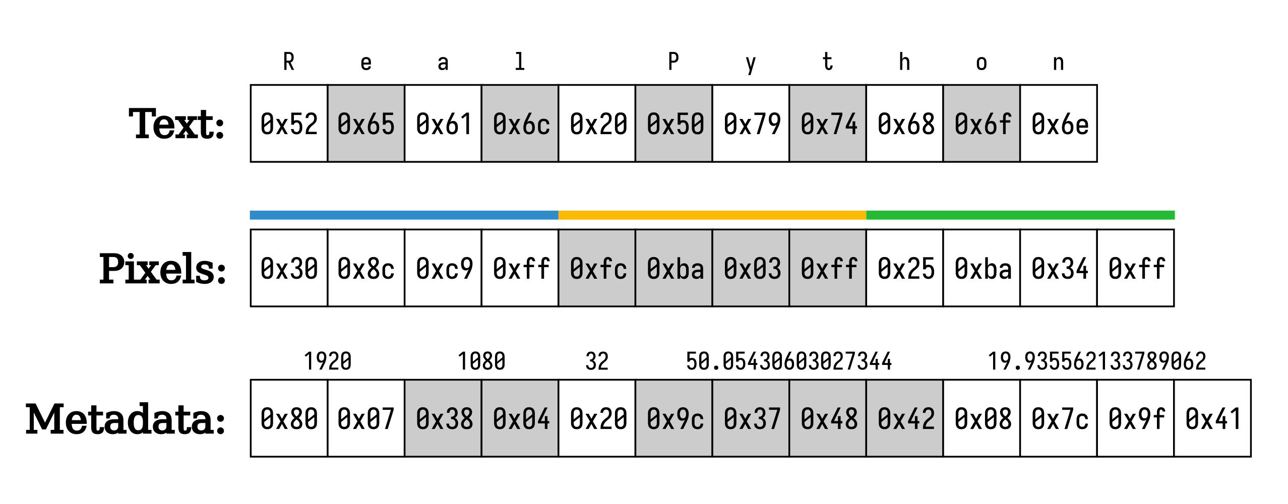 Single-Byte vs Multi-Byte Oriented Data